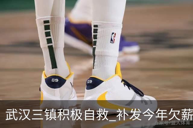 武汉三镇积极自救 补发今年欠薪 准入大概率会解决